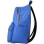 Louis Vuitton Discovery Backpack PM Taigarama