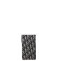 Dior Vertical Saddle Pouch Oblique