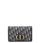 Dior 2-in-1 30 Montaigne Pouch Oblique