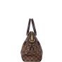 Louis Vuitton Trevi PM Damier Ebene