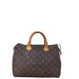 Louis Vuitton Speedy 30 Monogram