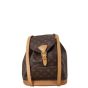 Louis Vuitton Montsouris MM Monogram