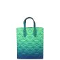 Louis Vuitton Sac Plat XS Taurillon Monogram Illusion