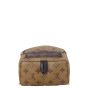 Louis Vuitton Palm Springs Mini Backpack Monogram Reverse