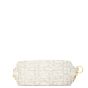 Dior Diorstar Hobo Tweed