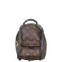 Louis Vuitton Palm Springs Mini Backpack Monogram