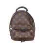 Louis Vuitton Palm Springs Mini Backpack Monogram