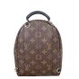 Louis Vuitton Palm Springs Mini Backpack Monogram