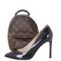Louis Vuitton Palm Springs Mini Backpack Monogram