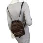 Louis Vuitton Palm Springs Mini Backpack Monogram