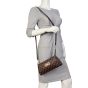 Louis Vuitton Eva Pochette Damier Ebene