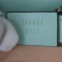 Gucci GG Marmont Super Mini Shoulder Bag