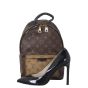 Louis Vuitton Palm Springs Backpack PM Reverse Monogram