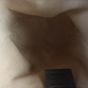 Gucci GG Supreme Ophidia Mini Bucket Bag