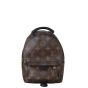 Louis Vuitton Palm Springs Mini Backpack Monogram