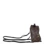 Louis Vuitton Palm Springs Mini Backpack Monogram