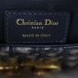Dior 30 Montaigne Box Bag Oblique