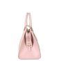 Saint Laurent Cabas Chyc Y Small