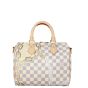 Louis Vuitton Speedy 25 Bandouliere Damier Azur Nautical Ropes