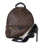 Louis Vuitton Palm Springs Backpack MM Monogram