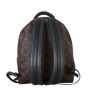 Louis Vuitton Palm Springs Backpack MM Monogram
