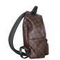 Louis Vuitton Palm Springs Backpack MM Monogram