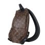 Louis Vuitton Palm Springs Backpack MM Monogram