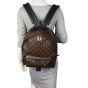 Louis Vuitton Palm Springs Backpack MM Monogram