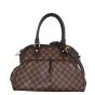 Louis Vuitton Trevi PM Damier Ebene