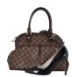 Louis Vuitton Trevi PM Damier Ebene