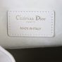 Dior C'est Bucket Bag Medium