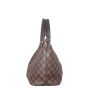 Louis Vuitton Siena MM Damier Ebene