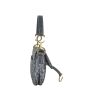 Dior Vintage Double Saddle Bag Oblique