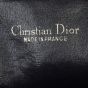 Dior Trotter Shoulder Bag Oblique