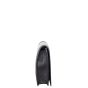 Celine Frame Evening Clutch on Chain