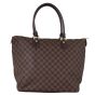 Louis Vuitton Saleya GM Damier Ebene