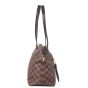 Louis Vuitton Iena PM Damier Ebene