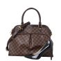 Louis Vuitton Trevi GM Damier Ebene