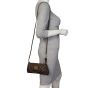 Louis Vuitton Eva Pochette Damier Ebene