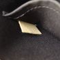 Louis Vuitton Alma BB Monogram Vernis