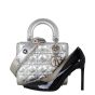 Dior Lady Dior My ABCDior Small