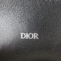 Dior Elite Shoulder Pouch Oblique