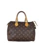 Louis Vuitton Speedy 25 Monogram
