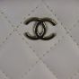Chanel 19 Waist And Coin Purse Bag