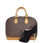 Louis Vuitton Alma PM Monogram Shoe