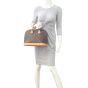 Louis Vuitton Alma PM Monogram Mannequin