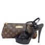 Louis Vuitton Eva Pochette Monogram Shoe
