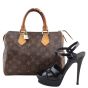 Louis Vuitton Speedy 25 Monogram Shoe
