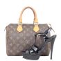 Louis Vuitton Speedy 25 Monogram Shoe
