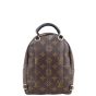 Louis Vuitton Palm Springs Mini Backpack Back
